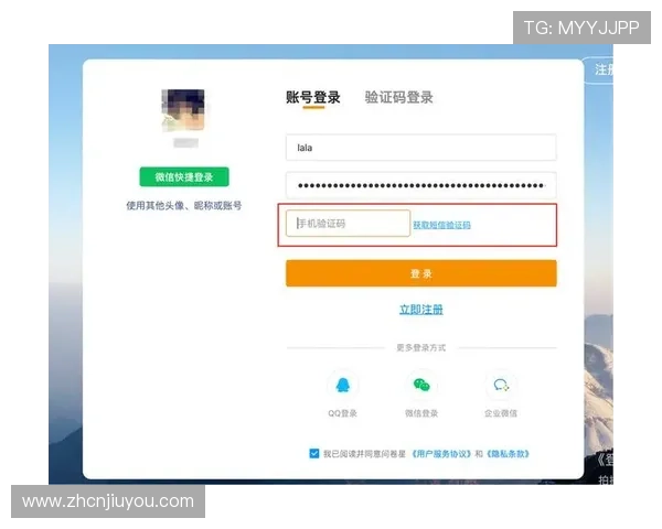 掌握九游云游戏网页版登录入口的登录密码及安全设置