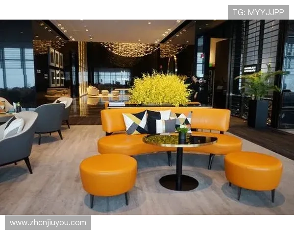 ag贵宾厅官网会员专属休闲区与商务会议空间介绍